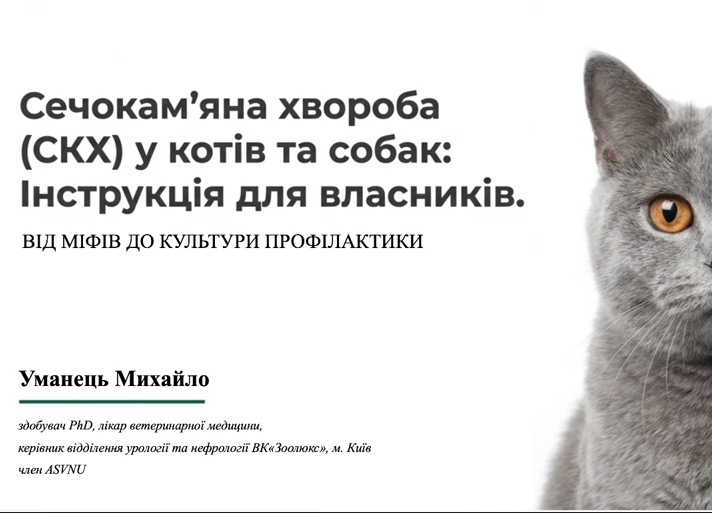 Запис лекції: Сечокам’яна хвороба у котів і собак: практичний гайд для власників про профілактику та контроль